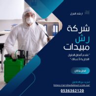 شركة رش مبيدات بالرياض