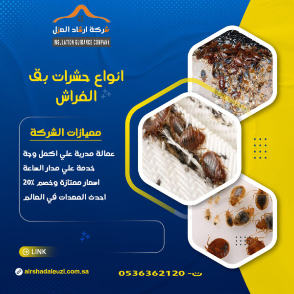 أنواع حشرة البق