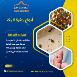 بق الفراش
