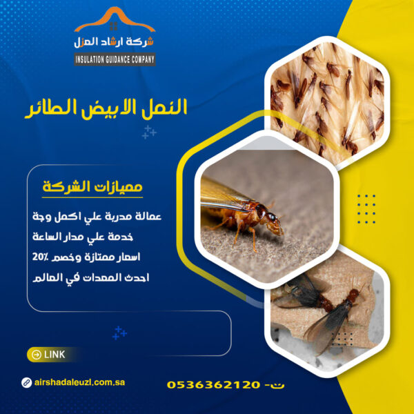 النمل الابيض الطائر
