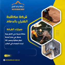 شركة مكافحة الفئران بالدمام