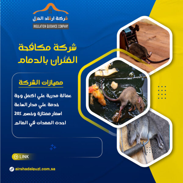 شركة مكافحة الفئران بالدمام