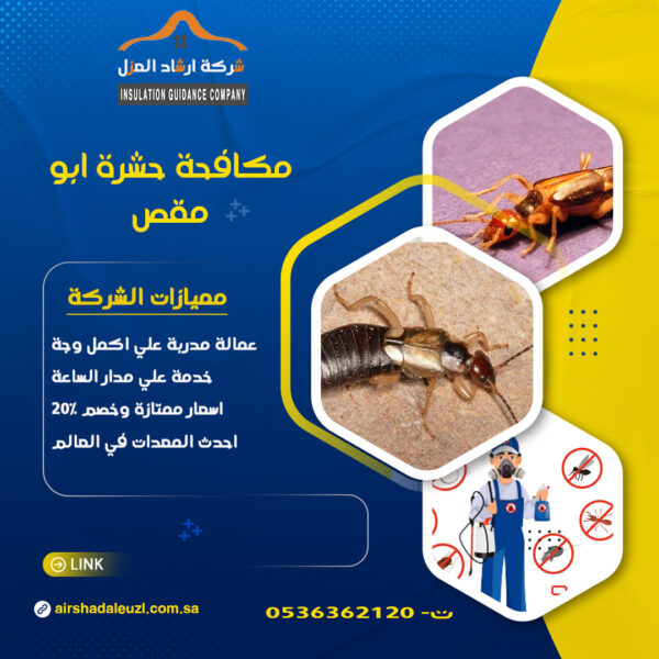 حشرة أبو مقص