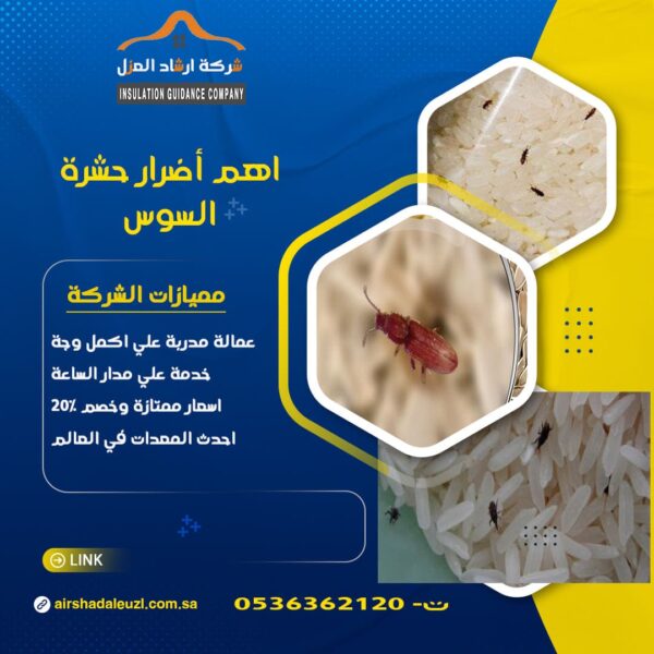أضرار حشرة السوس