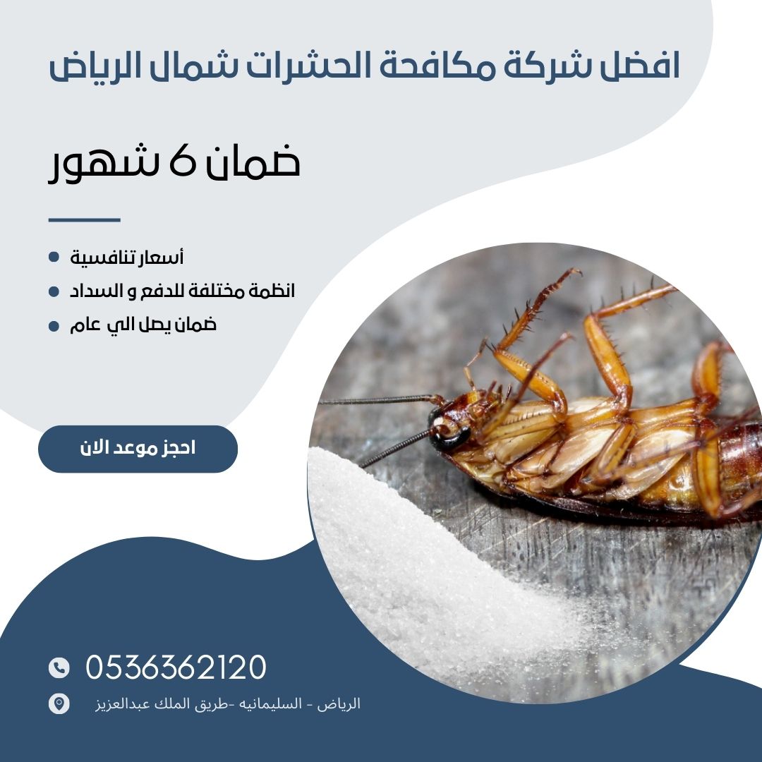 افضل شركة مكافحة الحشرات شمال الرياض