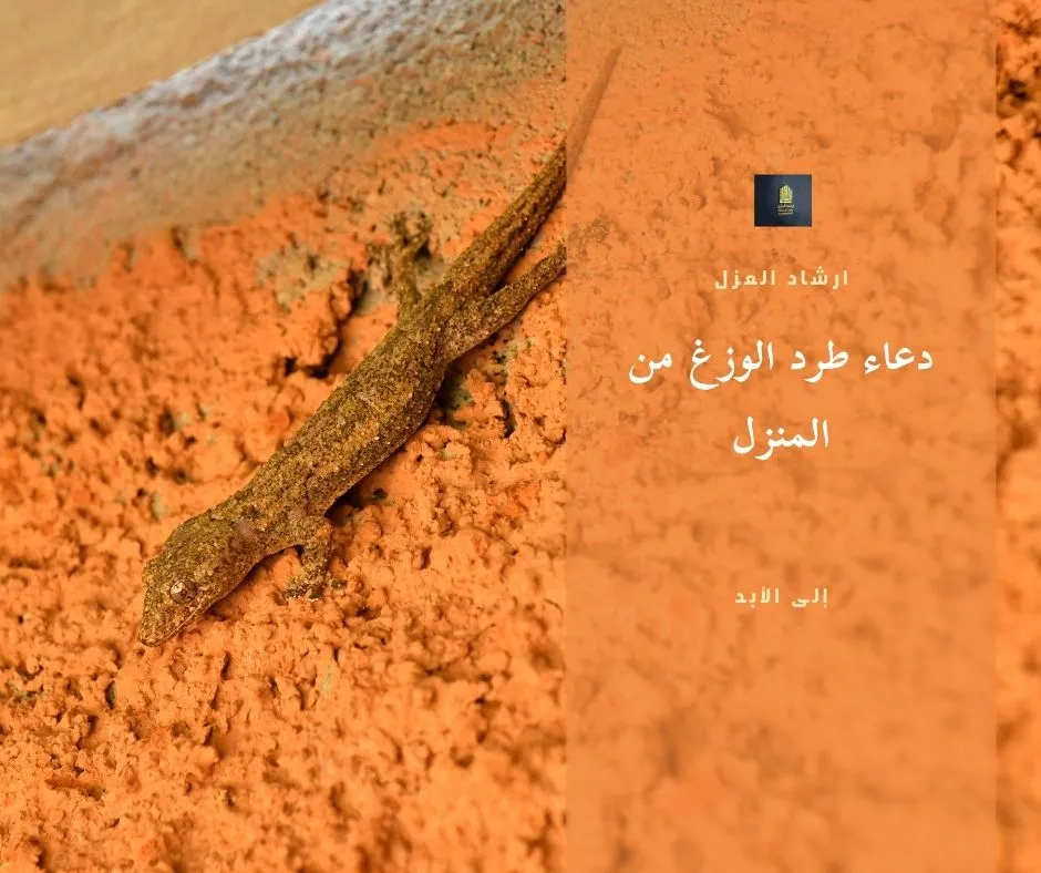 دعاء طرد الوزغ من المنزل