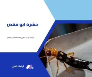 كيفية التخلص من حشرة أبو مقص