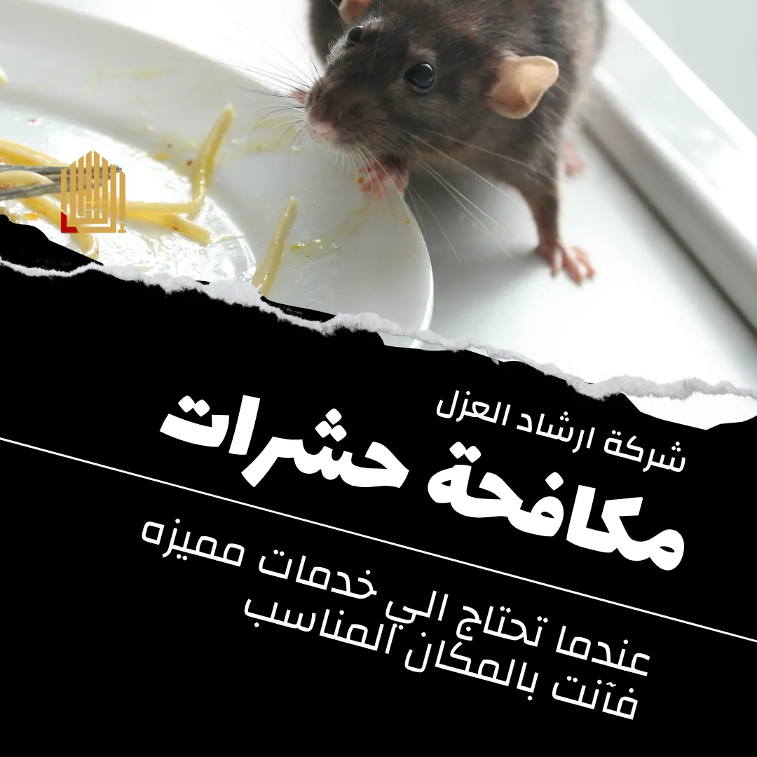 مكافحة حشرات بجازان