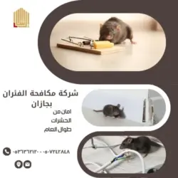 مكافحة الفئران بجازان