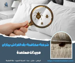 شركة مكافحة بق الفراش بجازان